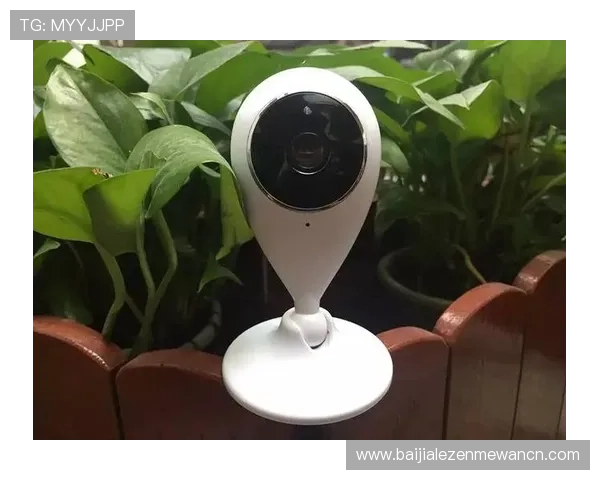 盈宝官网客户服务中心，提供全天候专业咨询与技术支持