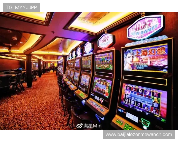 提升百家乐游戏胜率的秘密武器——百家乐路单记录器的详细使用方法介绍