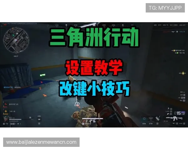 红蓝百家打法详解助你轻松掌握游戏策略提升战斗胜率